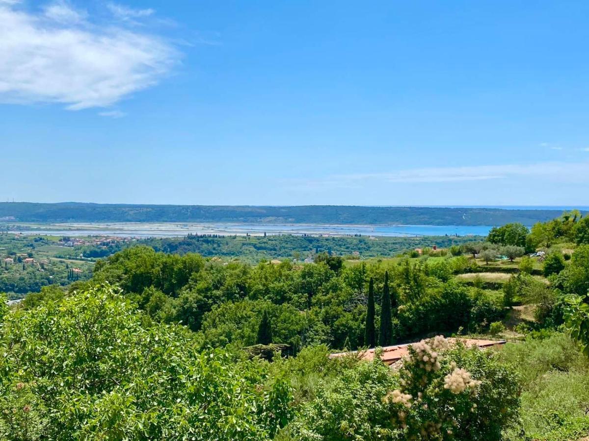 Apartma Hill Portorose מראה חיצוני תמונה